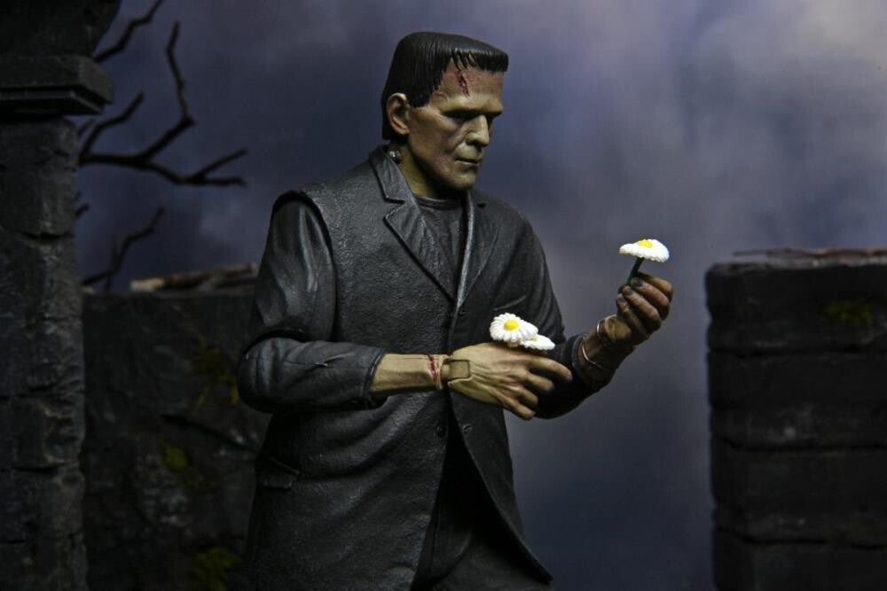 NECA Universal Monsters Frankenstein Colour Ultimate Action Figure