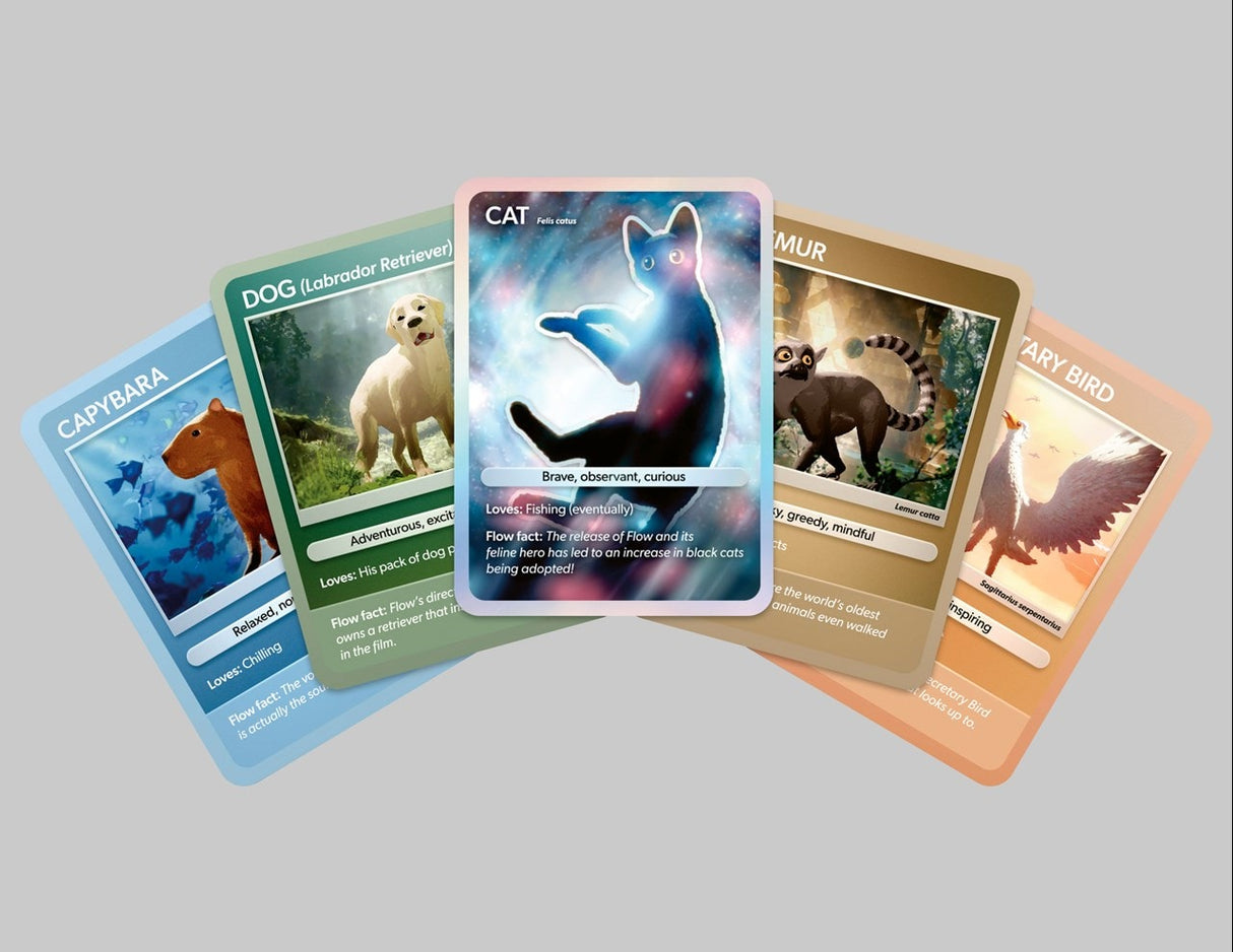 Flow Limited Edition 4K Ultra HD