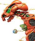 R-Type Figma Action Figure Dobkeratops 20 cm