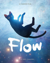 Flow Limited Edition 4K Ultra HD