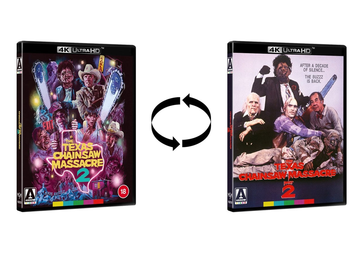 The Texas Chainsaw Massacre 2