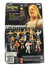 WWE Wrestling Classic Superstars Series 13 Mr. Perfect Action Figure Jakks Pacific